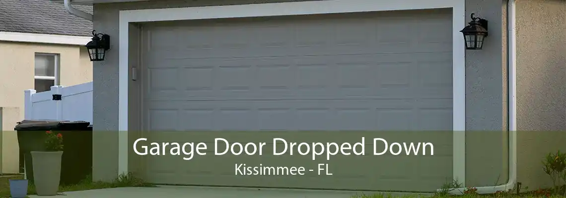 Garage Door Dropped Down Kissimmee - FL