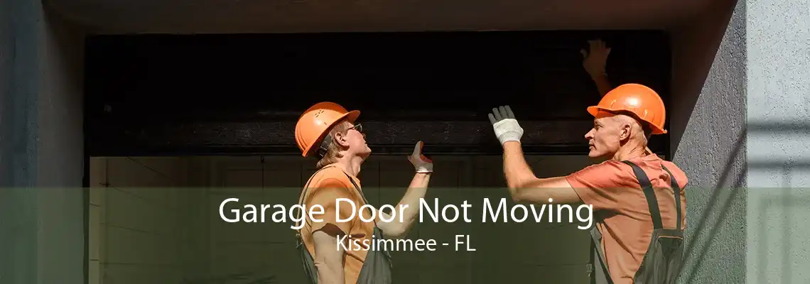 Garage Door Not Moving Kissimmee - FL