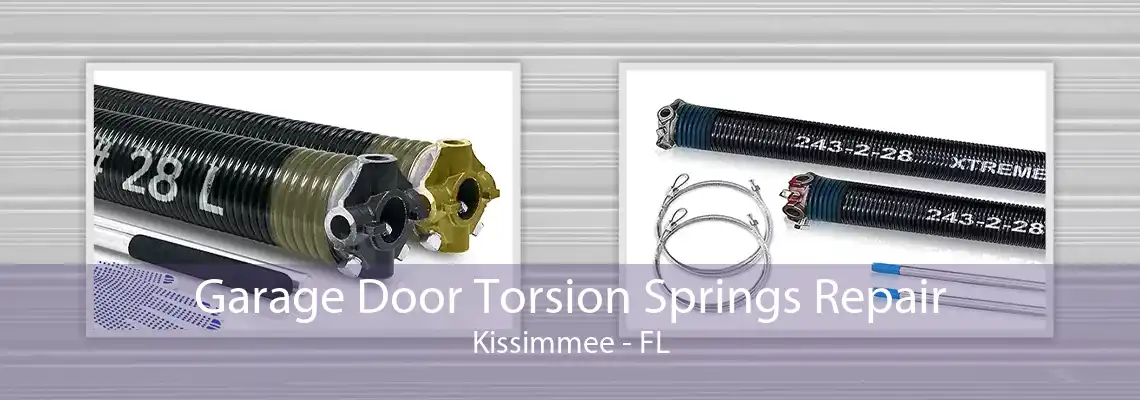 Garage Door Torsion Springs Repair Kissimmee - FL