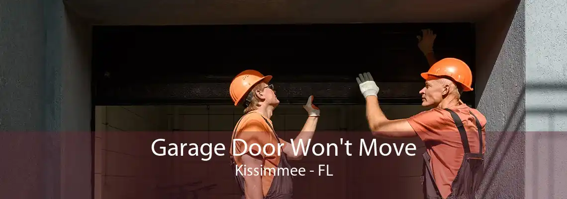 Garage Door Won't Move Kissimmee - FL